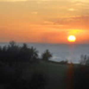 Meet your Posher, Sandy